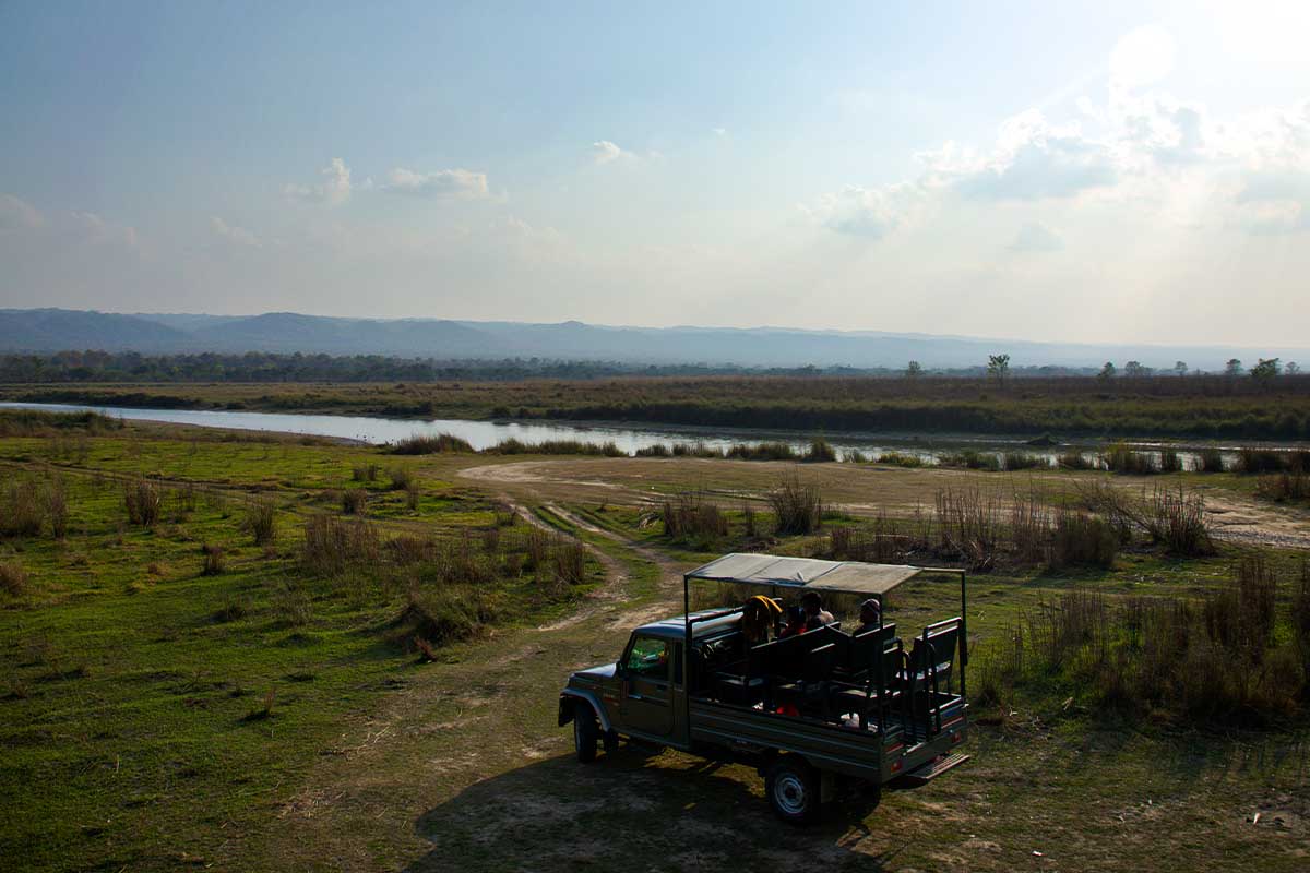 Jungle Safari in Chitwan